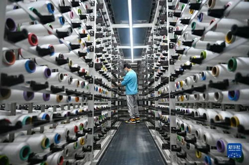 中國經濟十問之七 電子商務的現狀、挑戰(zhàn)與未來發(fā)展路徑